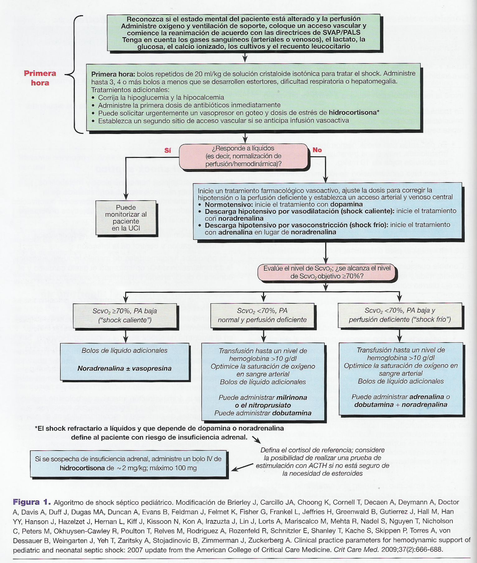 fisiopatología del shock hipovolémico